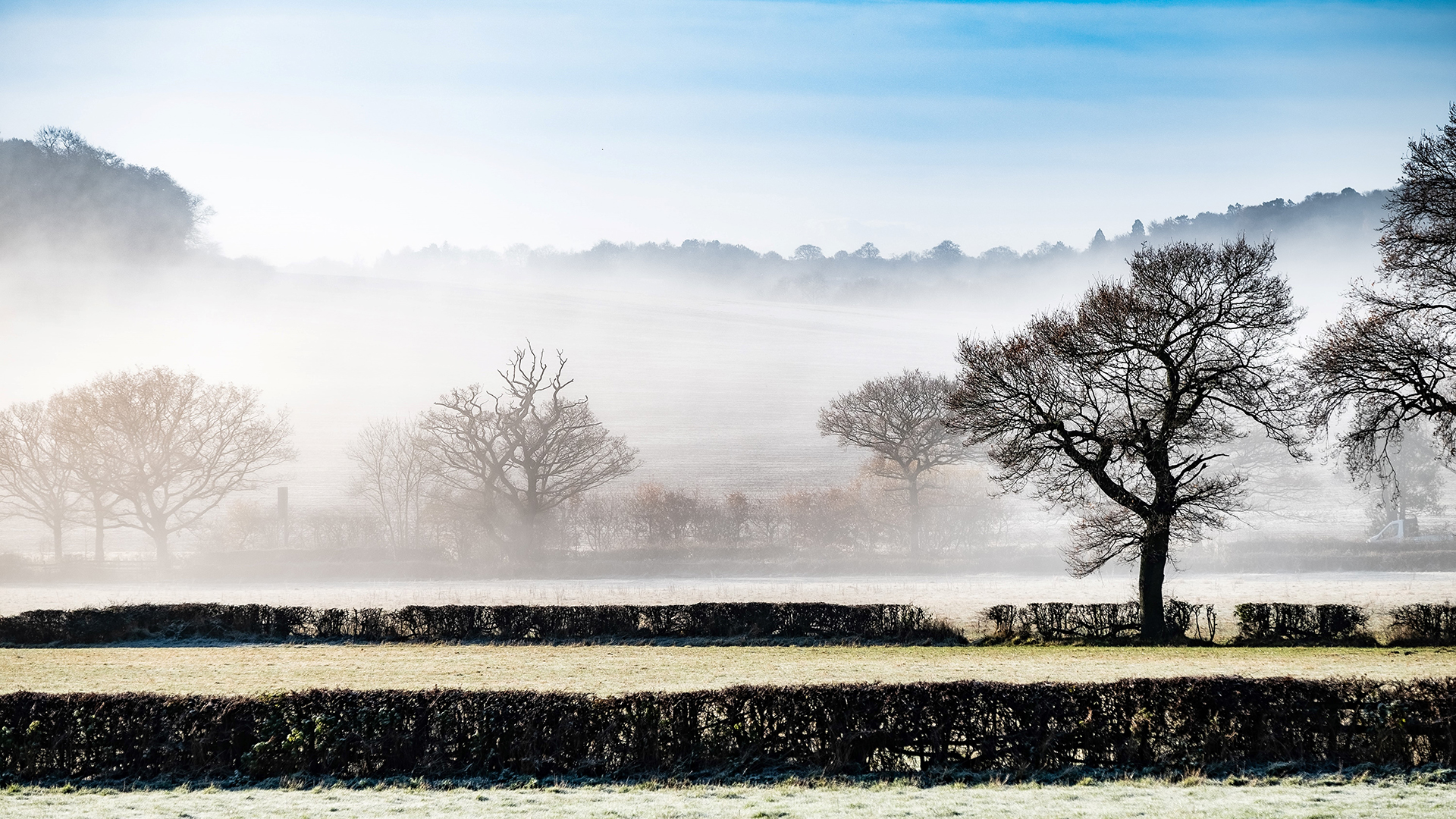 Winter foggy morning