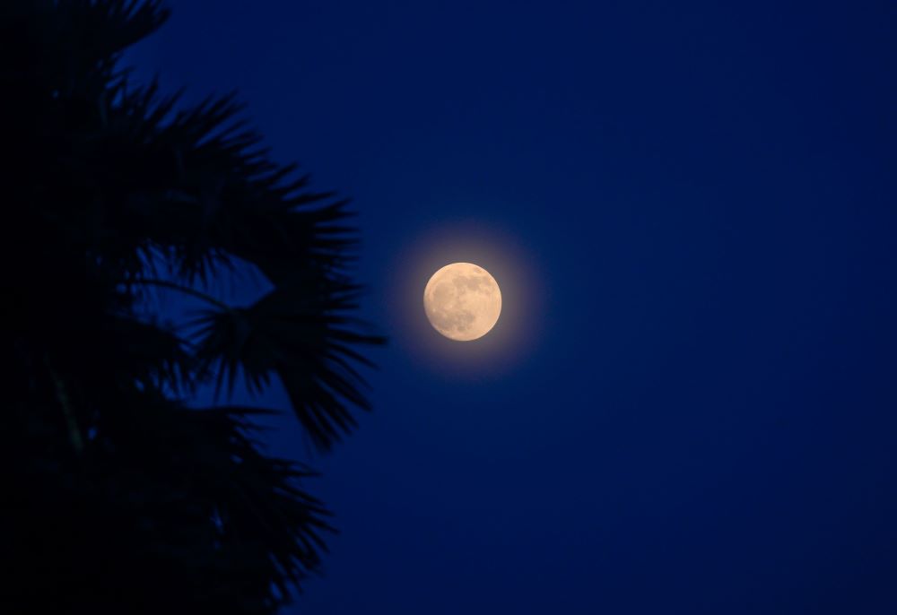 Circle of light radiating around the moon in a dark sky